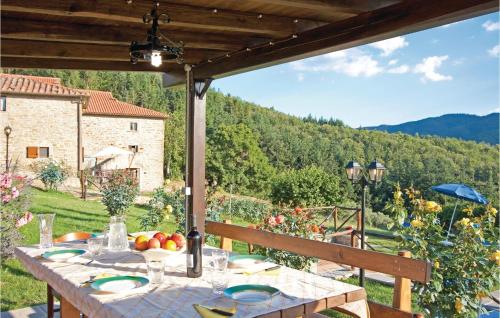 Úszómedence, Pet Friendly Home In Cortona Ar in Cantalena