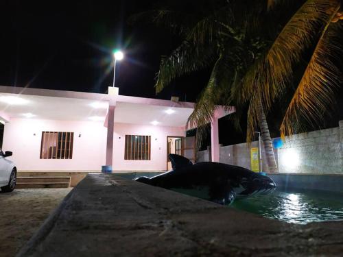 Casa M&P: Casa Amplia cerca del mar de Chelem in Chelem, Mexico
