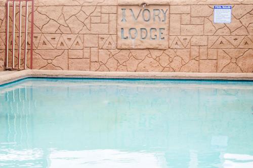 Swimming pool, Ivory Lodge Bendor in Polokwane