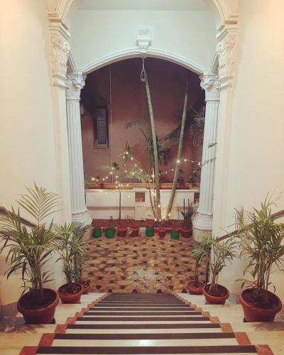 Kygo hostels near KBR Nemzeti Park