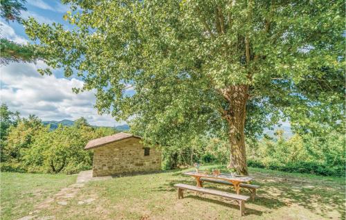Casellina, Apecchio (photo 4)
