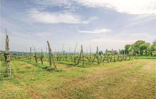 Three-Bedroom Holiday Home in Spoleto -PG- - image 10