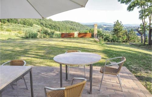 Sanlucchese 2 - image 5