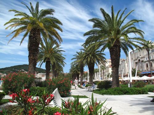 Guest House Little Palmina - image 9