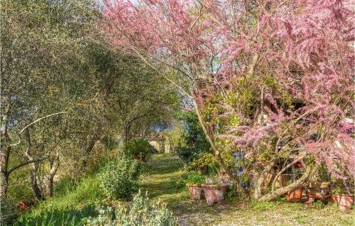 Parmolaina - image 12