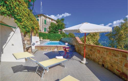 Pettirosso - image 7