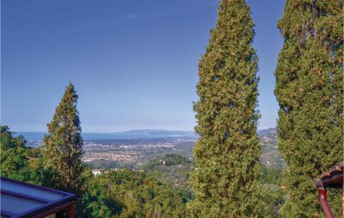 Pettirosso - image 9