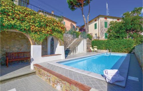 Pettirosso - image 12