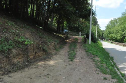 Apartments Borove Noci - image 3