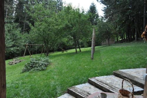 Apartments Borove Noci - image 7