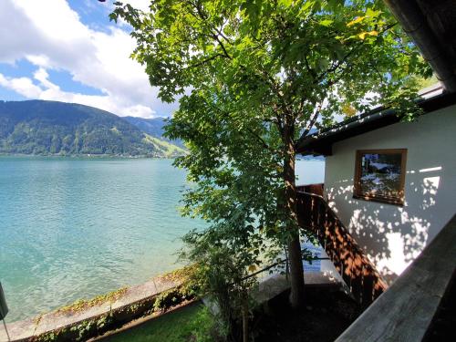 Waterfront Apartments Zell am See - Steinbock Lodges