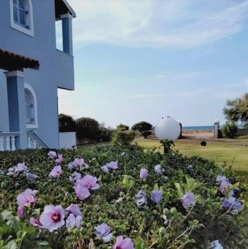 Villa Angela, seafront apartments, Almiros beach