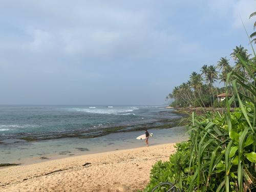 Surfe lodge