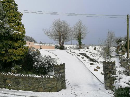 Carlingford Mountain and Sea Views