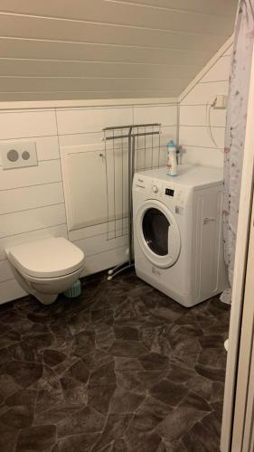 Bright and cozy apartment 1.5km from city centre in Flåm