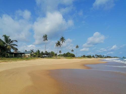. Afro Beach eco Resort Butre