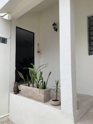 Private Full House with pool and cozy patio in 科洛諾斯