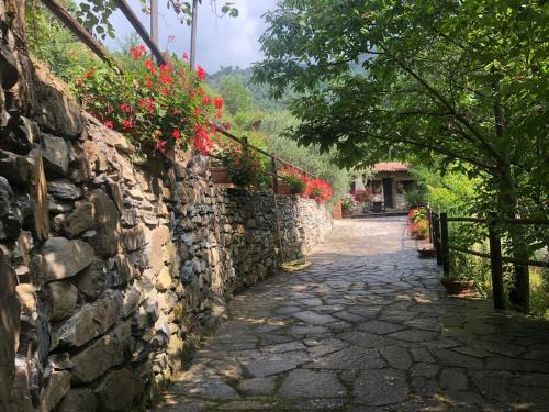 Ca' du Scogliü, charmant cottage en pleine nature sur la commune de Taggia