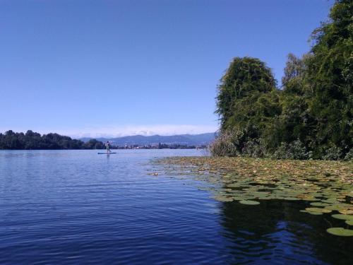 CASA DEL LAGO - Travedona