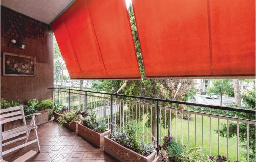 Falconieri - image 9