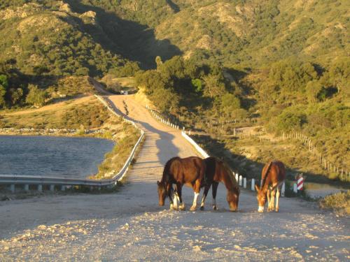 Cabañas de Montaña San Miguel