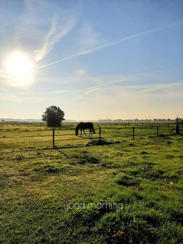 'T Wolthoes in Sellingen