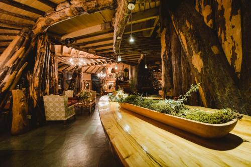 Huilo Huilo Montana Magica Lodge