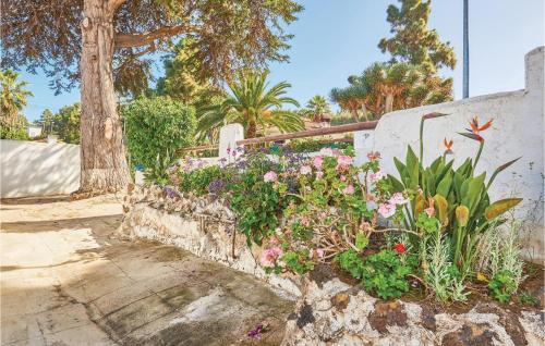 Casa Los Pinos - image 8
