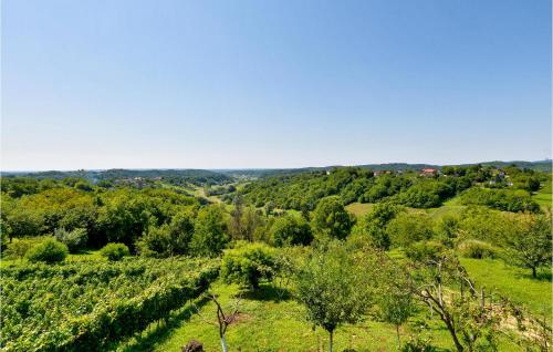 Cozy Home In Donja Zelina With Wifi