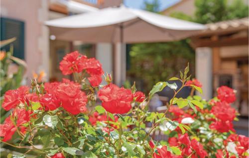 Four-Bedroom Holiday Home in Sa Torre