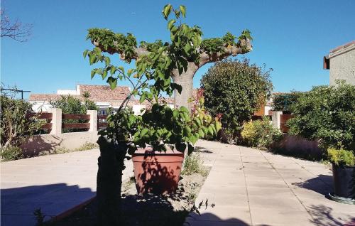 Gorgeous Home In Port La Nouvelle With Wifi