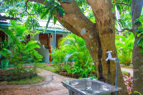 Sun Flower Homestay Sigiriya