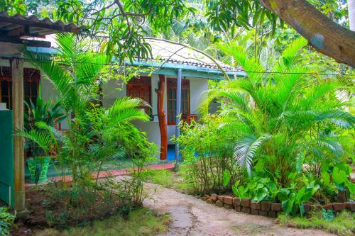 Sun Flower Homestay Sigiriya