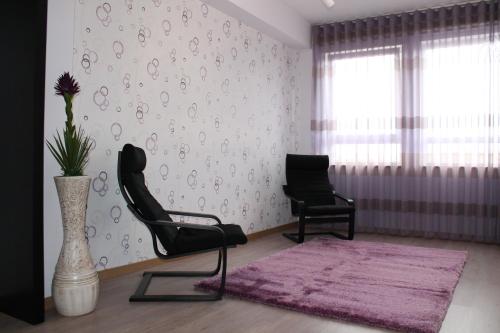 One-Bedroom Apartment image 9