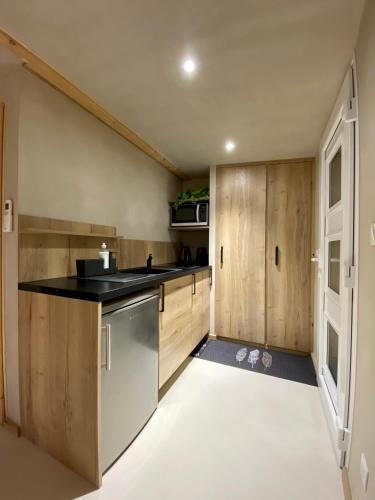 virtuve, LE STUDIO,Superbe appartement meublé avec terrasse (LE STUDIO,Superbe appartement meuble avec terrasse) in Foucherans (Franche-Comte)