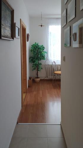 設施, Apartmán v Srní (Apartman v Srni) in 簡妮