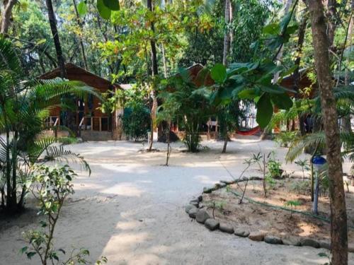 coconut grove eco-friendly huts