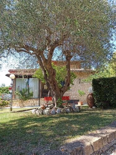 B&B Villa Miramì – Saturnia, ND