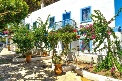 Pleiades Alinda Bay Leros - Location, gîte - Alinda