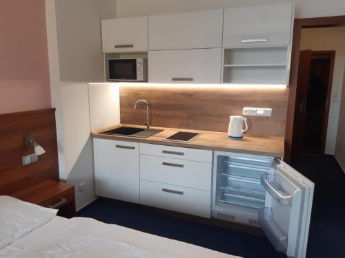 Apartman Wellness hotel Frymburk in Frymburk City Center