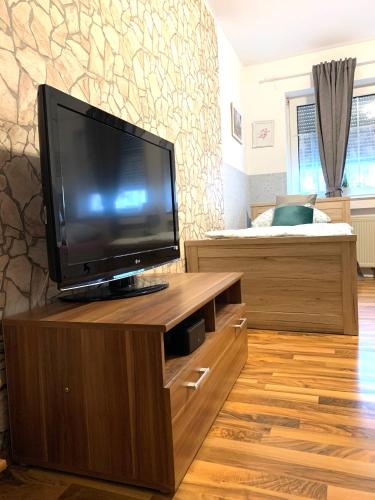 Ferienwohnung in Binger Stadtmitte in Bingen am Rhein