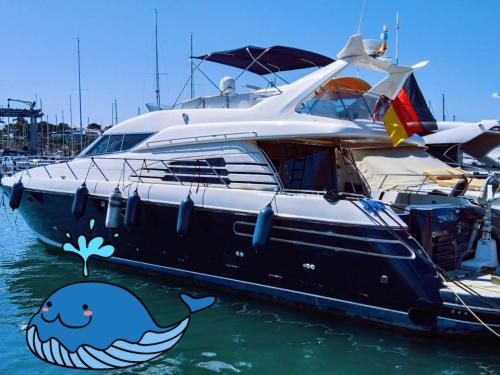  Yacht 18m Sunseeker in Mallorca in El Arenal