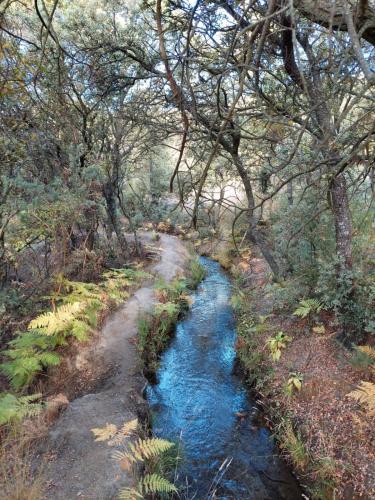 Cortijo el Tesoro