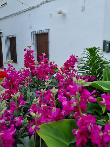 Casa Francisca en el casco antiguo