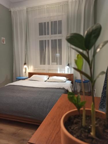Apartament ROZETA centrum 6os
