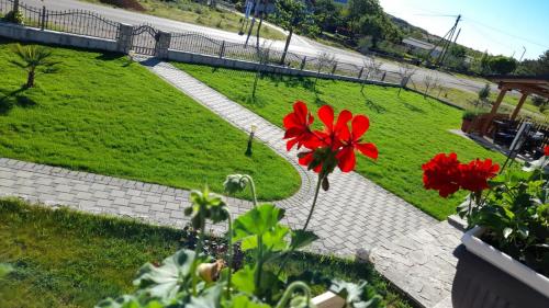 Apartment Kravica - image 6