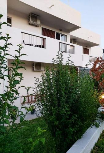 Greek Islands Studios - image 4