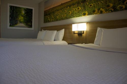 2 queen beds
