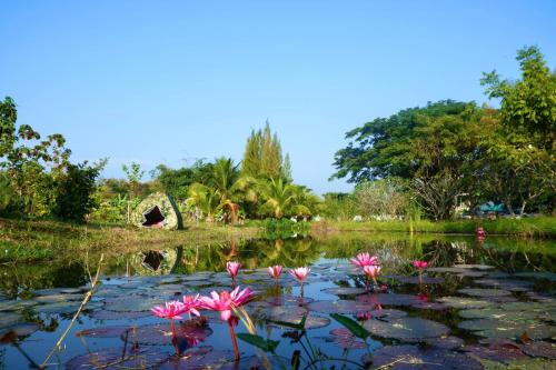 Commonwealth Hotel and Resort