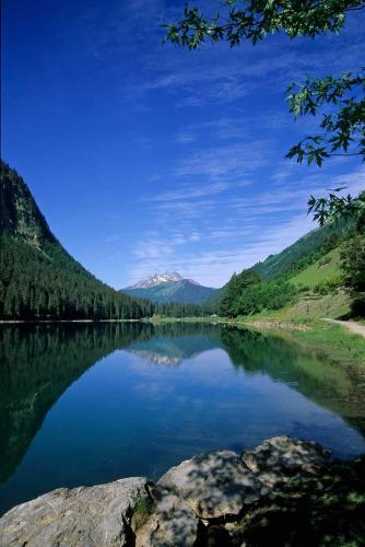 Surrounding environment, La Grangette - Morzine near Pre-Favre Ski Lift
